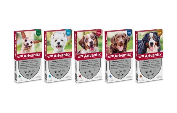Produktbild Verpackung Advantix Spot-on für Hunde 