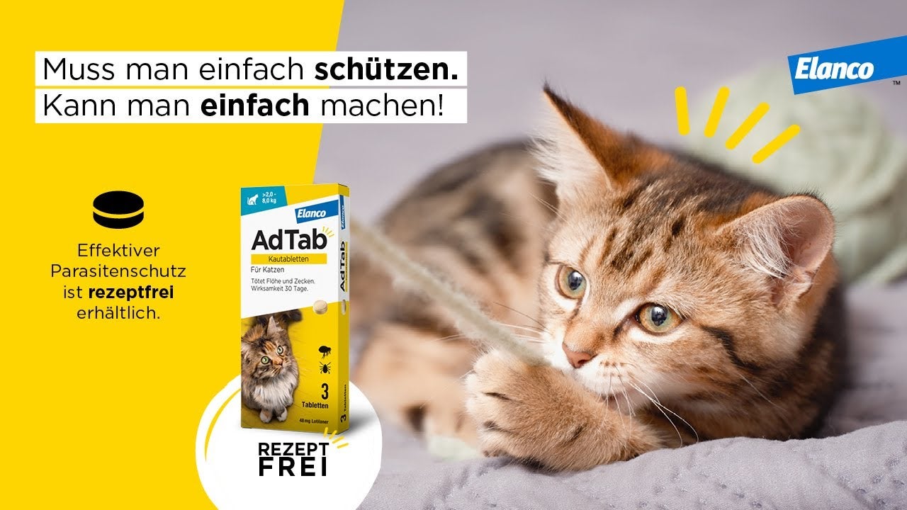 doxycyclin tabletten katze