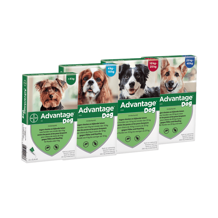 Advantage voor honden verpakkingen 