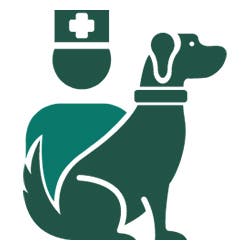 Vet visit icon