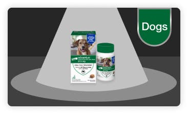 advantus Oral Flea Treatment packages under the spotlight