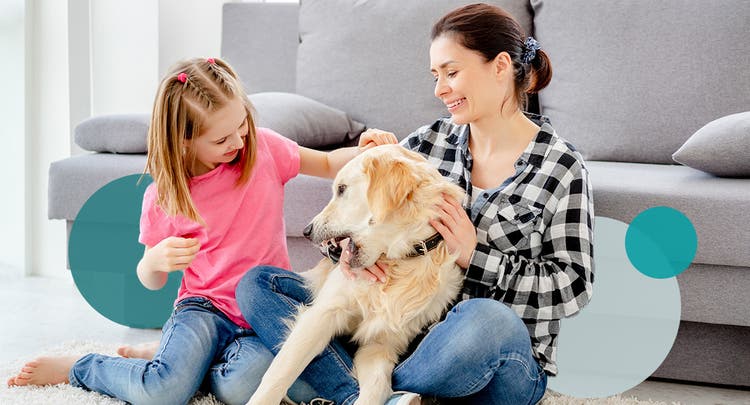 Mom and daughter playing with a golden retriever in the living room