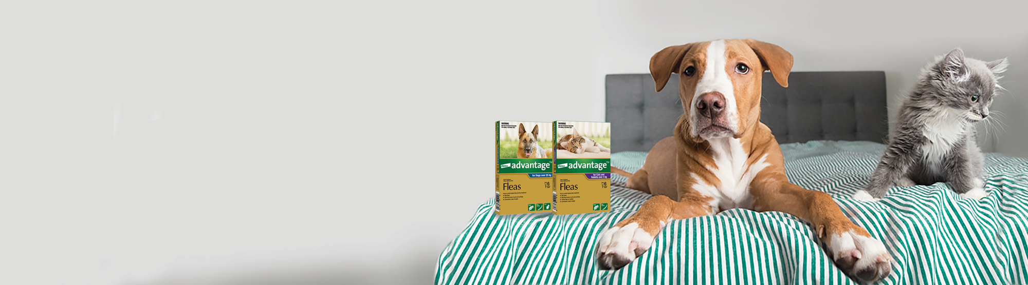 Advantage™ topical flea treatment for puppies, dogs, kittens, cats and