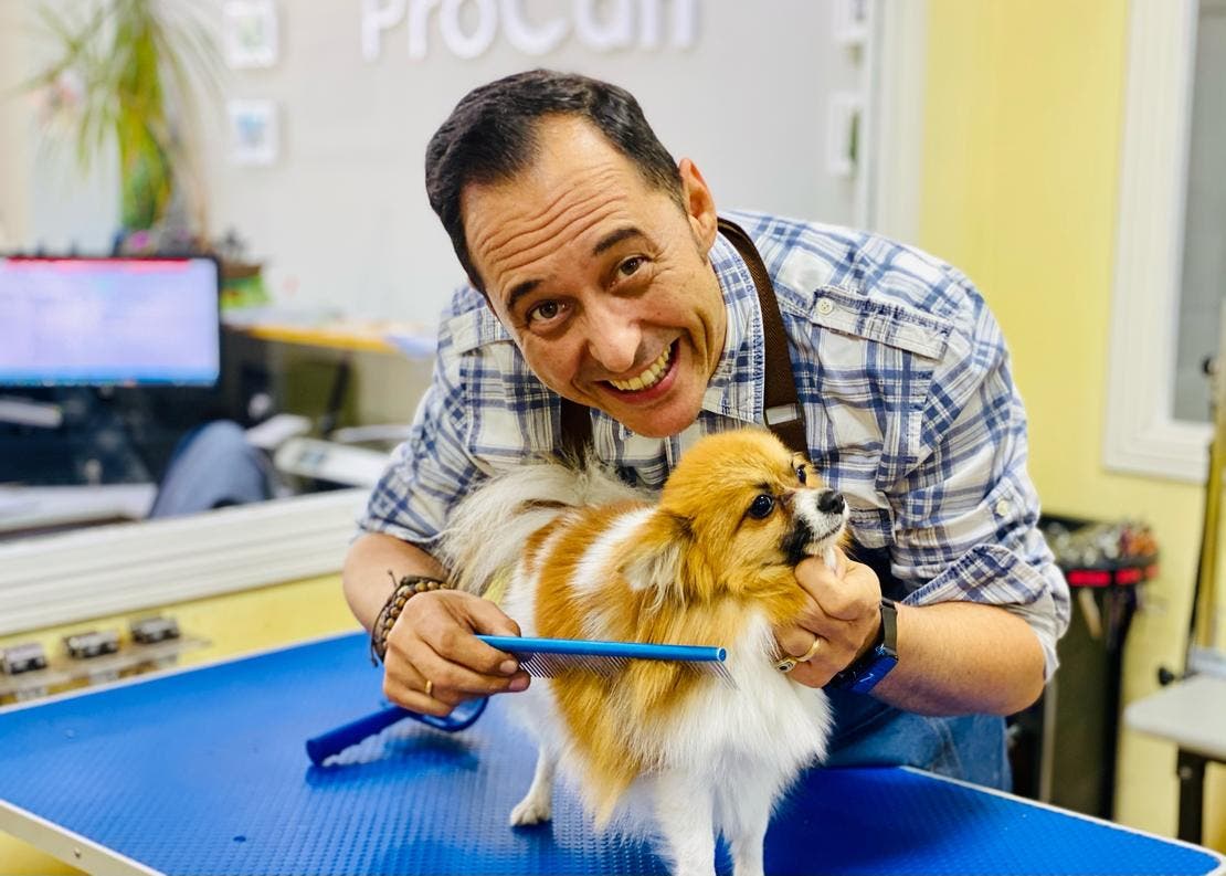 Lugar para cepillar pomerania