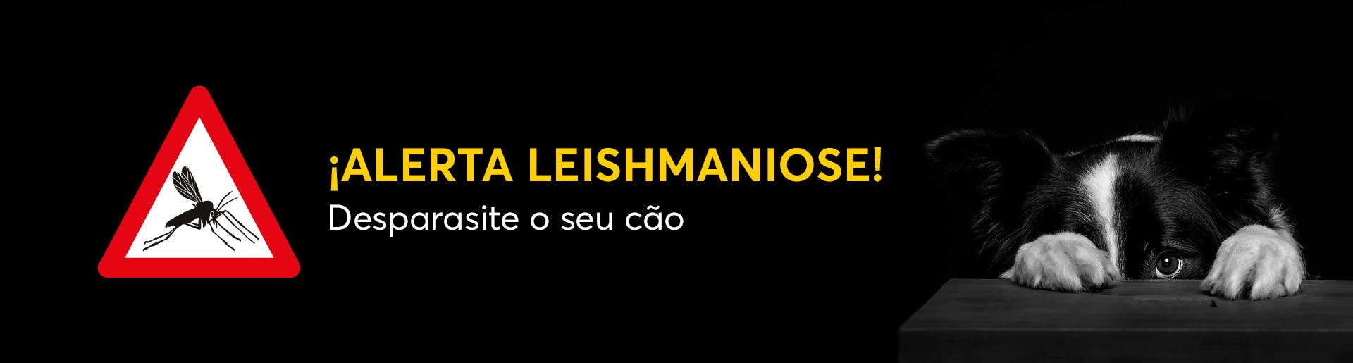Leishmaniose — Não baixe a guarda!