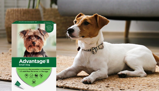 Advantage II Topical Flea Treatment for Your Pet