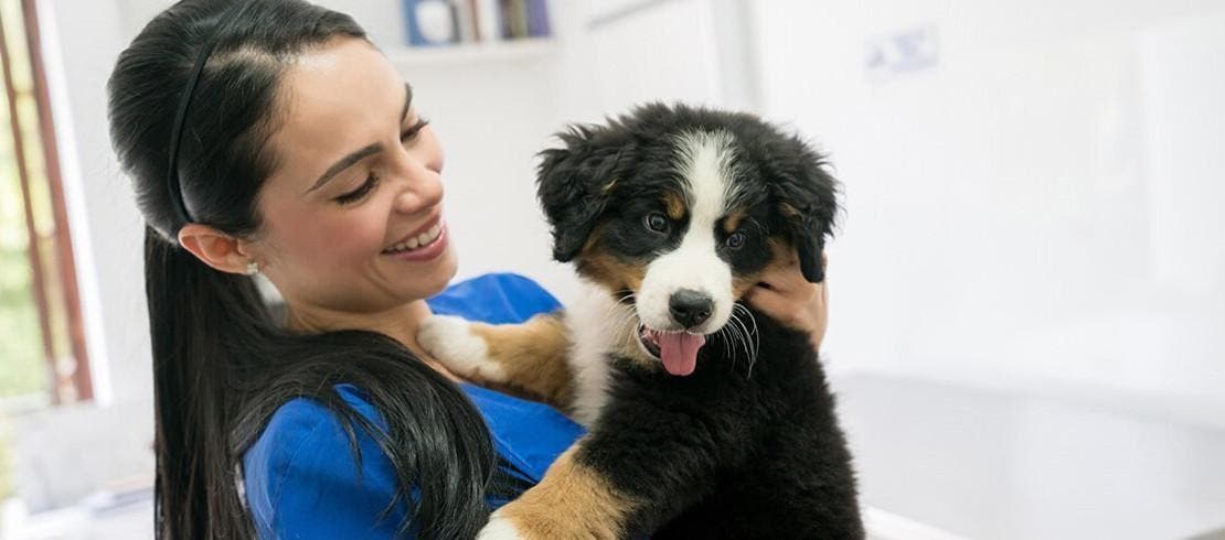 woman-holding-dog
