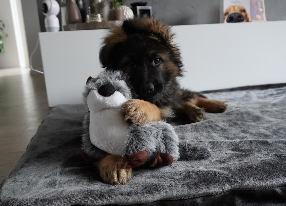 Otto_met_knuffel