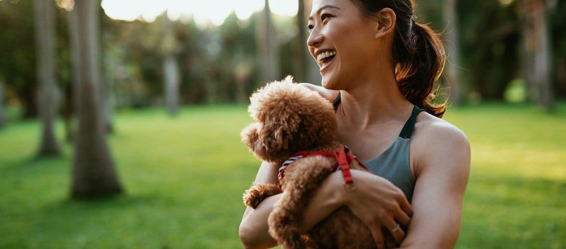 公園でミニ・ゴールデンドゥードルを抱く若い女性