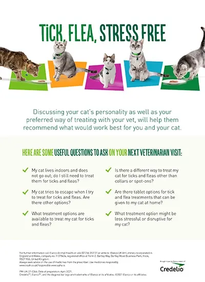 Download the guide to ask questions to the vet about stress free treatment options for fleas and ticks in cats