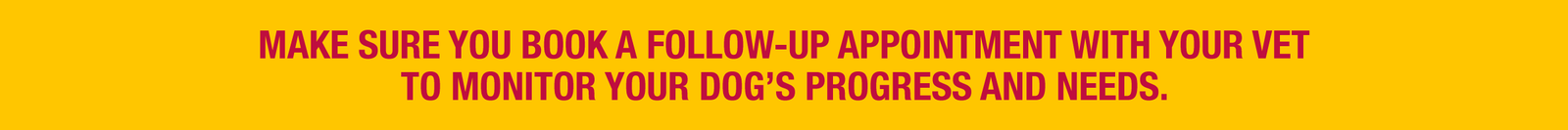 Make sure you book a follow up appointment with your vet to monitor your dog's progress and needs