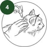 How to apply Advantage to cats - step 4