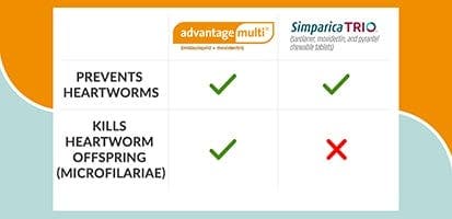 heartworm treatment comparison chart of Advantage Multi vs Simparica Trio