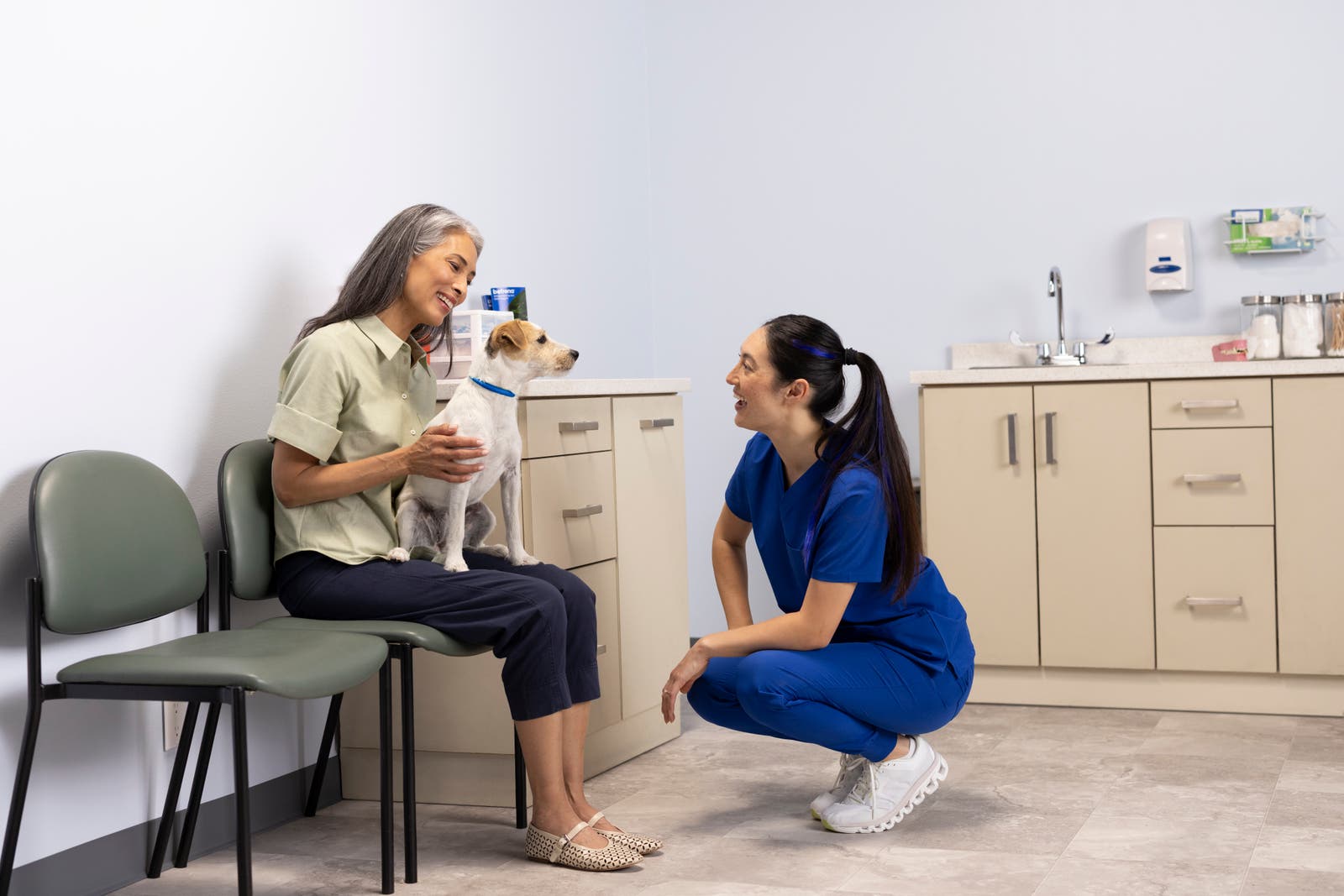 Dog in vet clinic receiving Befrena for allergic itch