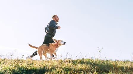 Questions to ask your vet