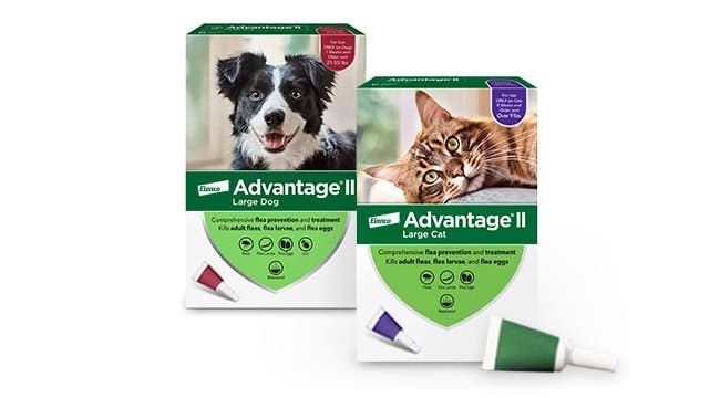 Advantage II large dog and Advantage II large cat product boxes and topical flea treatment applicator