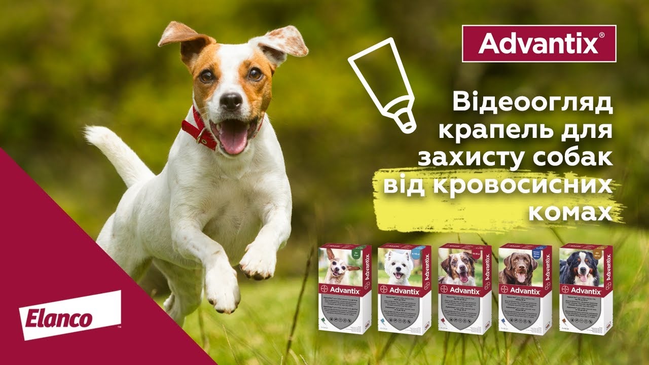 Адвантікс® для собак від кліщів, бліх, волосоїдів, комарів Мій