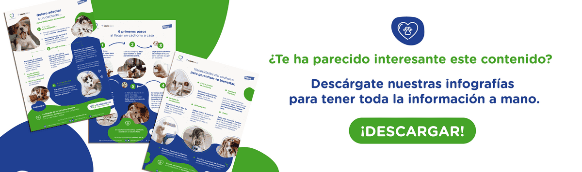banner infografías