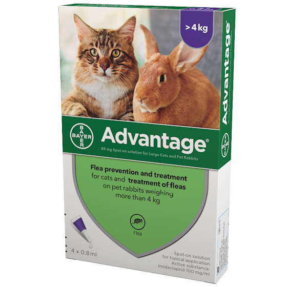 Advantage spot on flea treatment for large cats and rabbits