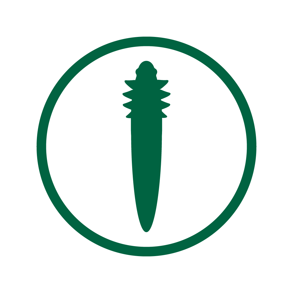 Demodex mites