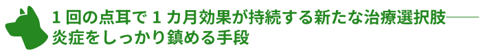 1回の点耳で1カ月効果が持続する新たな治療選択肢──
炎症をしっかり鎮める手段