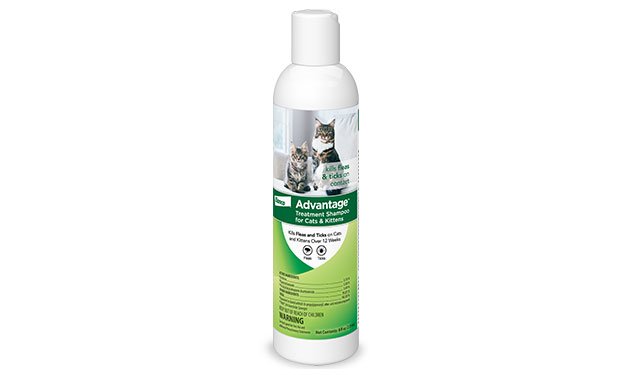 Advantage Treatment Shampoo For Cats Bottle   