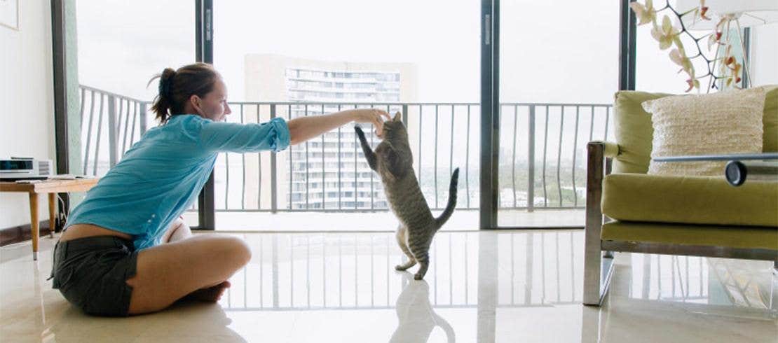 A woman sitting down and playing with her cat in her apartment
