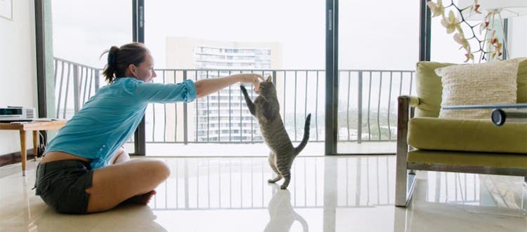 A woman sitting down and playing with her cat in her apartment