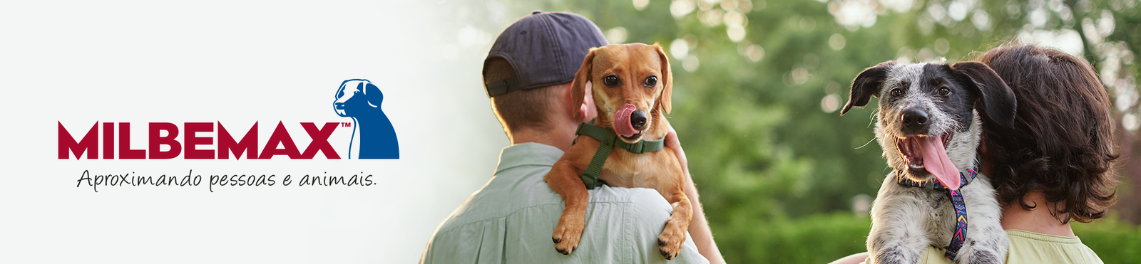 Banner Milbemax Cães