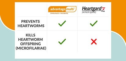 heartworm treatment comparison chart of Advantage Multi vs Heartgard Plus