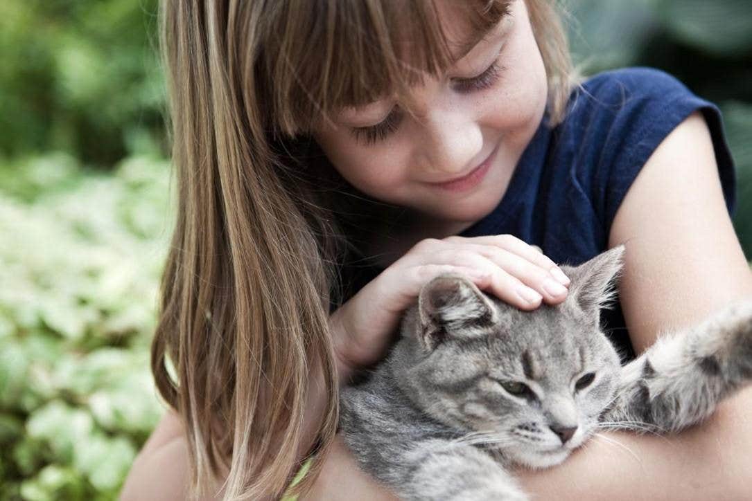  En flicka som klappar en katt 