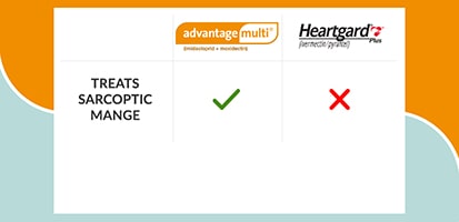 sarcoptic mange treatment comparison chart of Advantage Multi vs Heartgard Plus