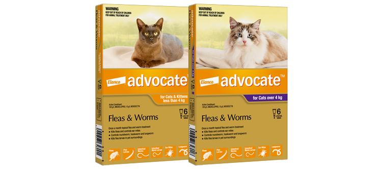 Advocate™ packaging available for cats in their specific weight range.