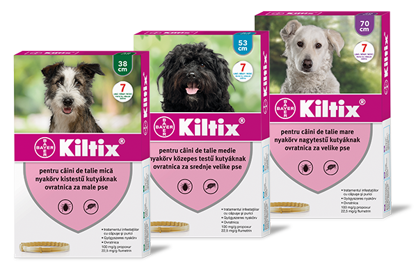 Kiltix® nyakörv kutyáknak 