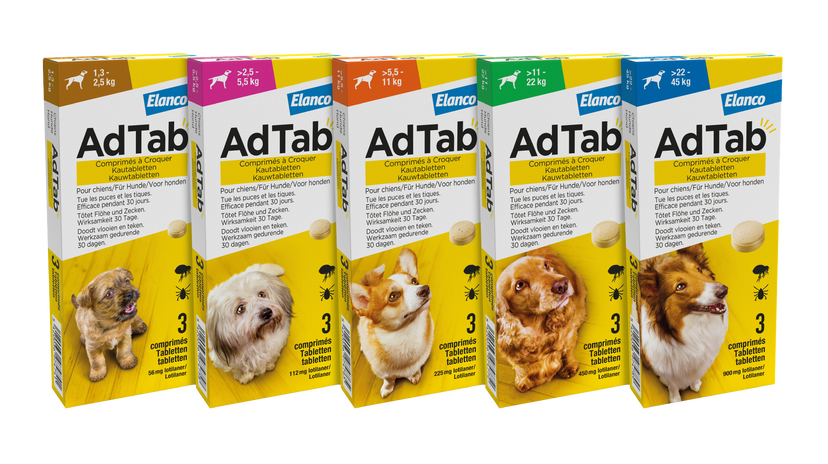 AdTab™ comprimés à croquer pour chiens