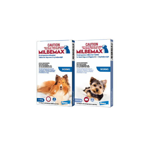 Milbemax™ Worming Tablets For Dogs | NZ