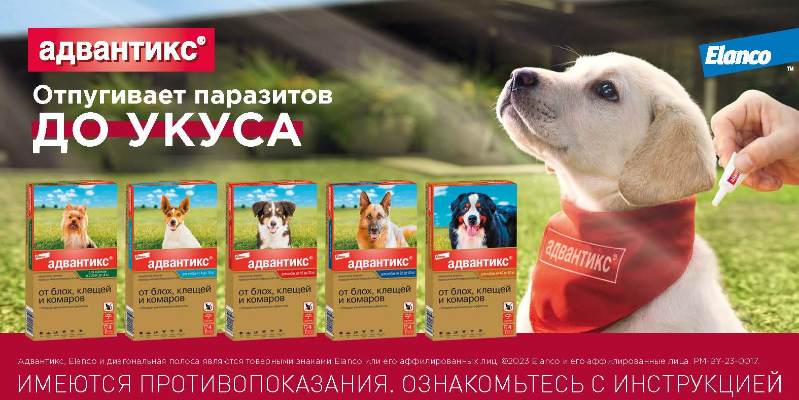 Изображение линейки препарата Адвантикс® для собак на фоне зелёной травы с щенком лабрадора, которого обрабатывают препаратом. "Адвантикс® отпугивает паразитов до укуса".