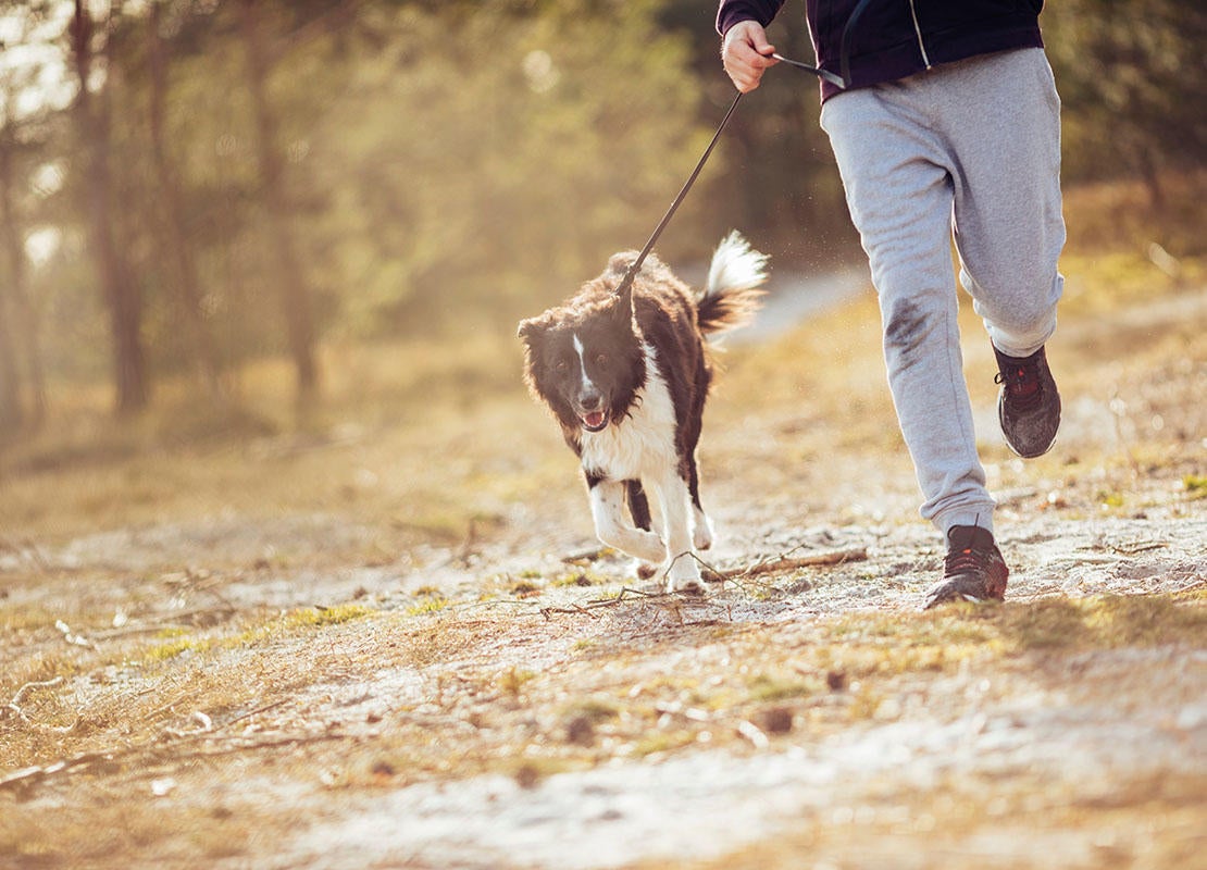 Uomo che corre nella foresta con il proprio cane