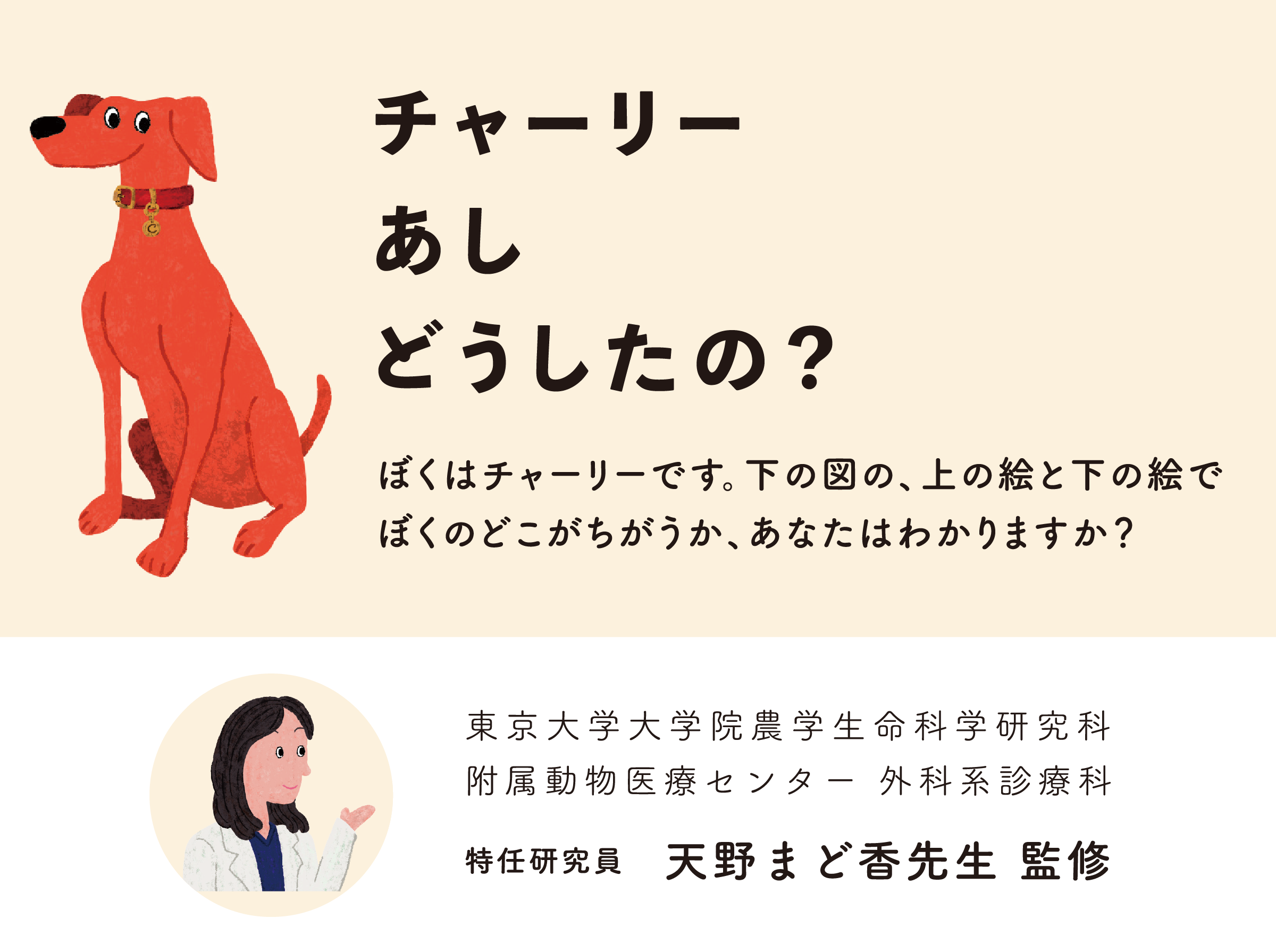 チャーリーと一緒に愛犬の歩き方、座り方、立ち方を見てみませんか？, image size:2400x1791