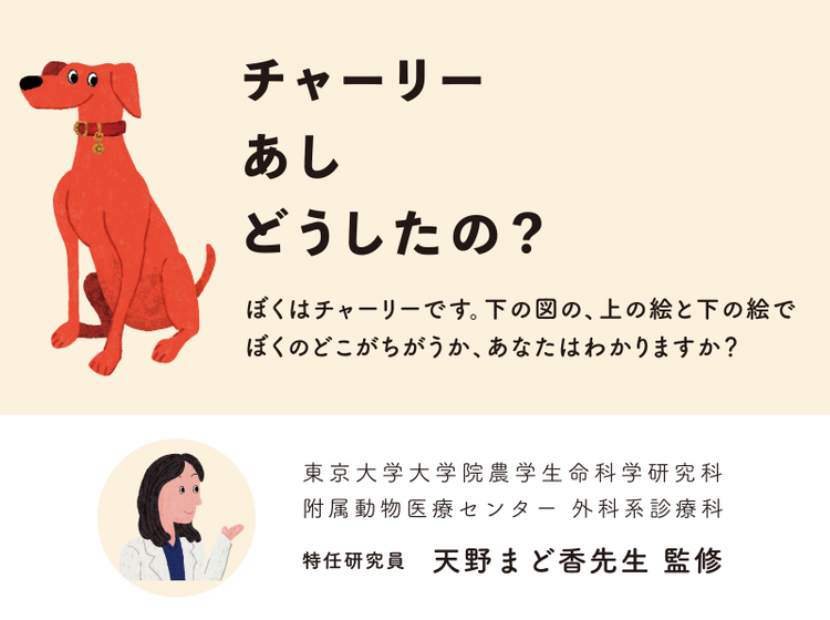 チャーリーあしどうしたの？上の絵と下の絵の違い分かりますか？
