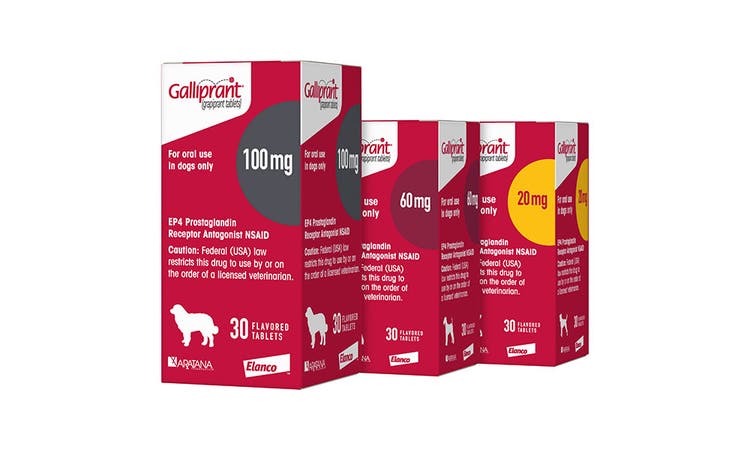 Galliprant 30Ct