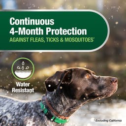 Continuous 4-month protection for dogs against fleas, ticks, and mosquitos. Water-resistant collar.