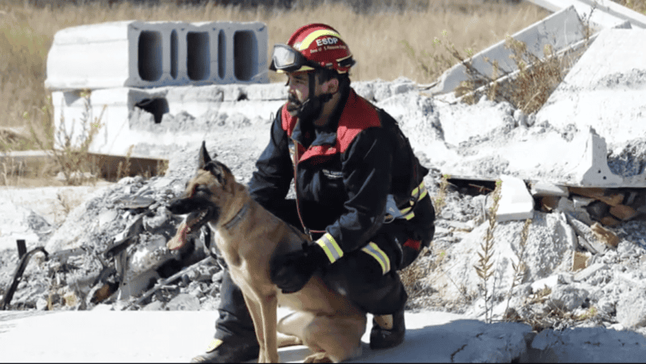 salvamento y deteccion con perros
