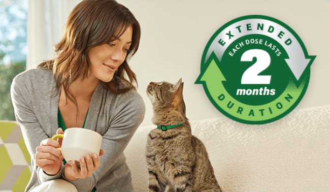 Owner and cat looking at each other with two-months duration icon 