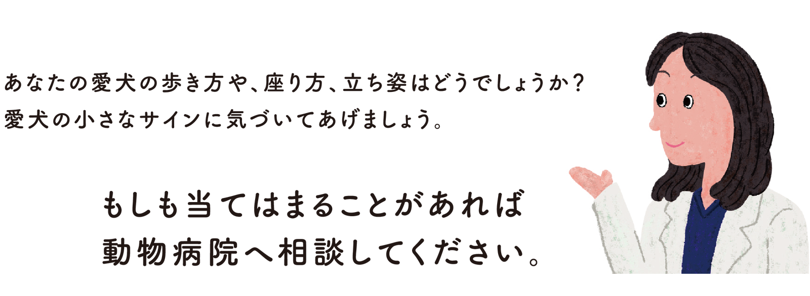当てはまることがあれば動物病院にご相談を