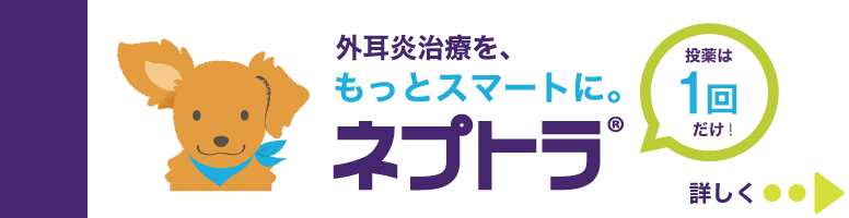 ネプトラ　バナー