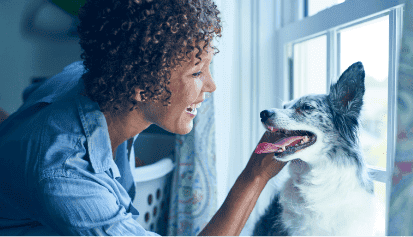 Happy dog being pet by smiling owner