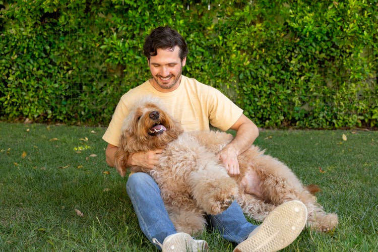Itchy dog outside with owner in grass