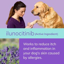 ilunocitinib (active ingredient) works to reduce itch and inflammation in your dog's skin caused by allergies