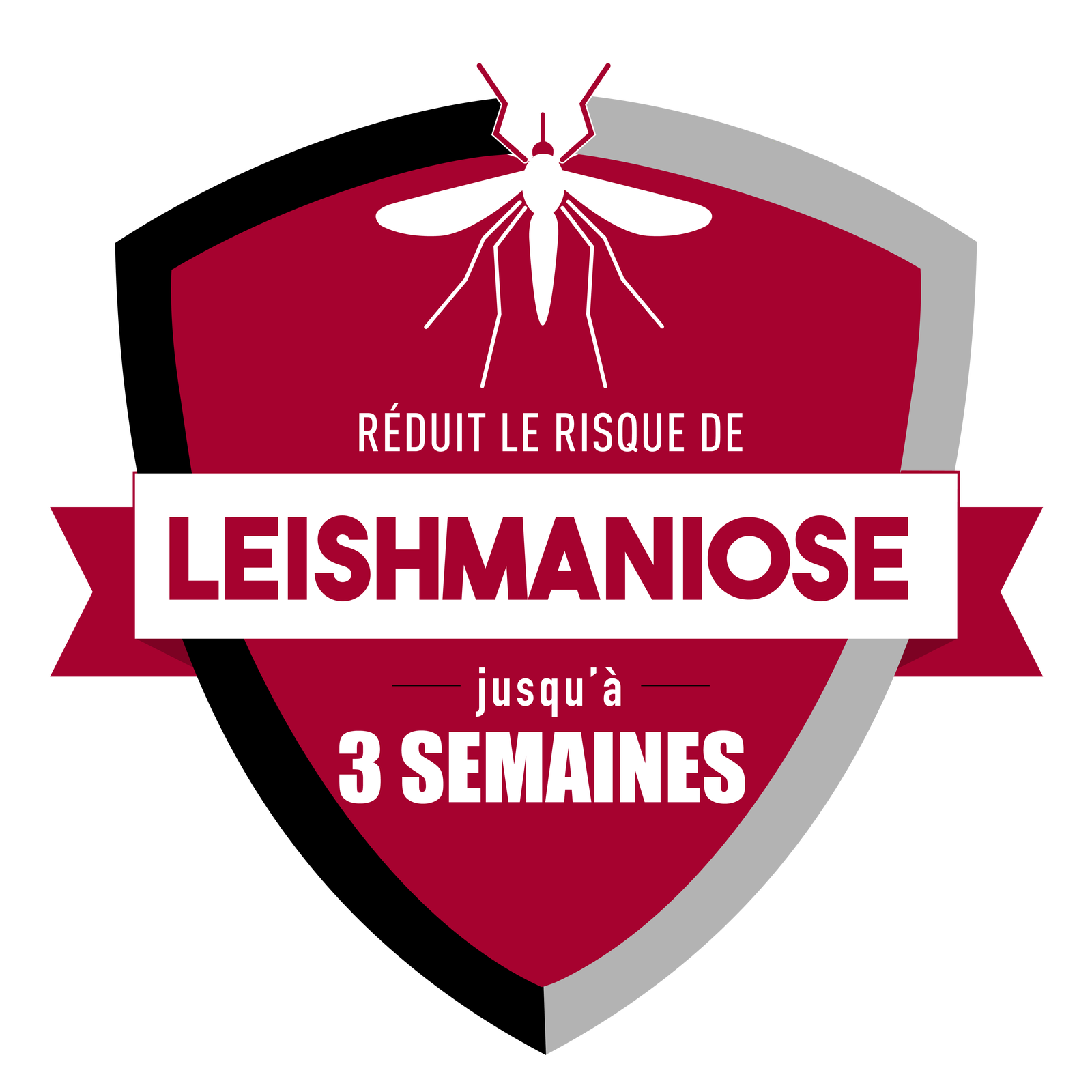bouclier leishmaniose